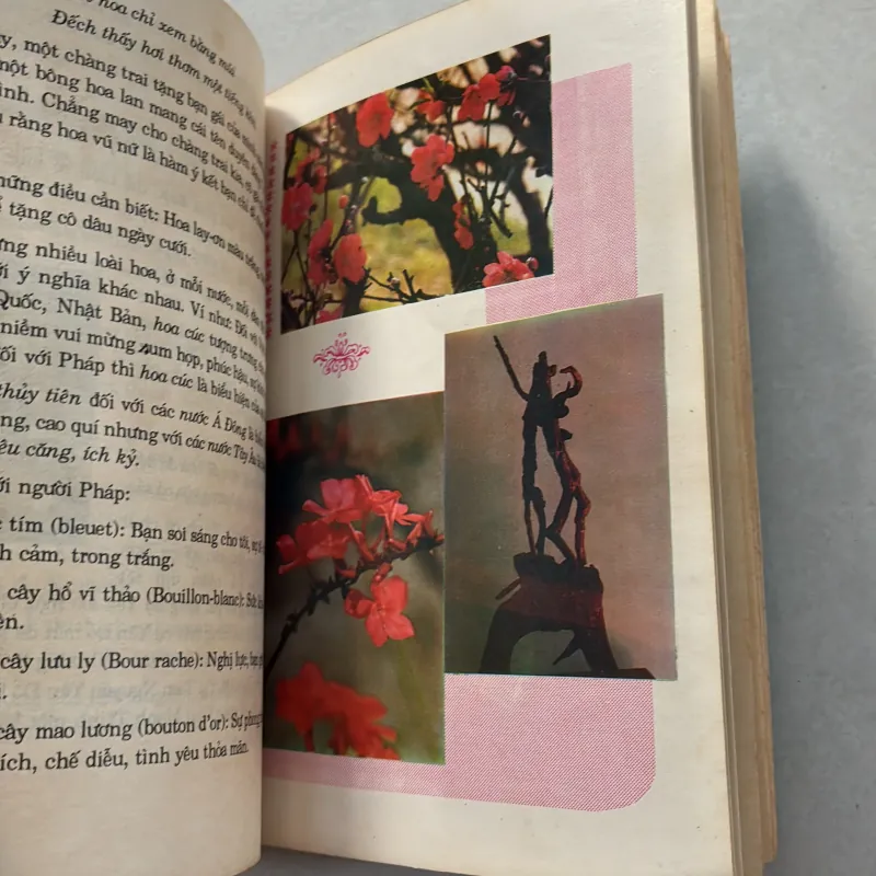 Thú chơi hoa cảnh non bộ xưa và nay - Phạm Kế - 1994s 800626