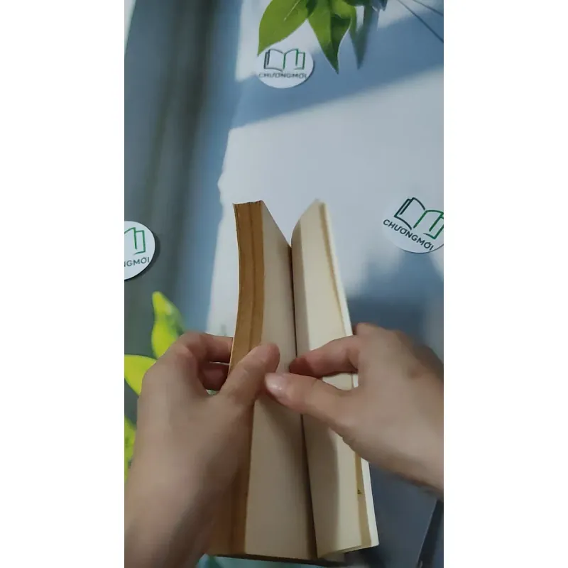 [XƯA] Cơ Sở Văn Hóa Việt Nam (1999) - Lê Văn Chưởng 928609