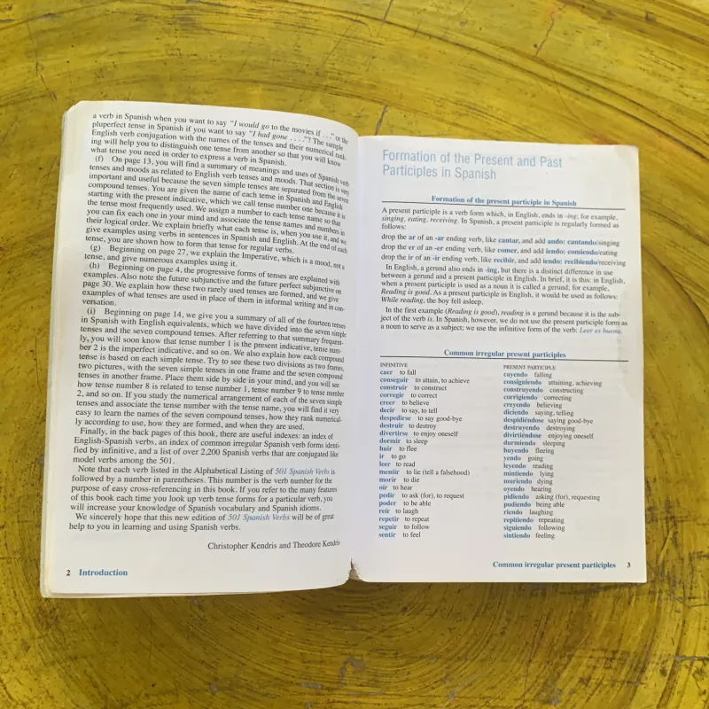 501 SPANISH VERBS - BARRON’S 1029363