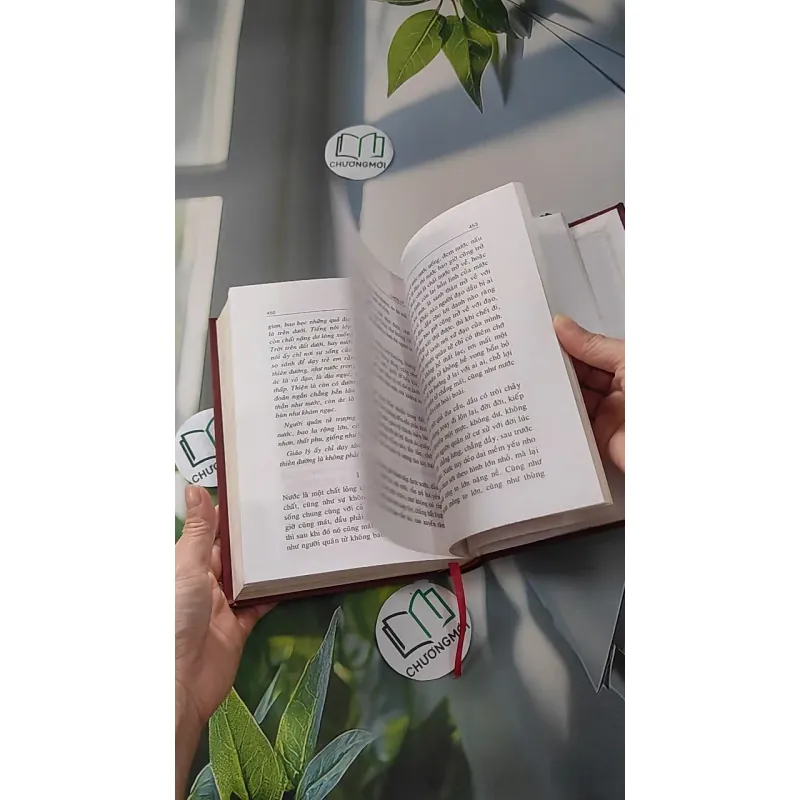 Chơn Lý 1 - Tổ Sư Minh Đăng Quang 990053