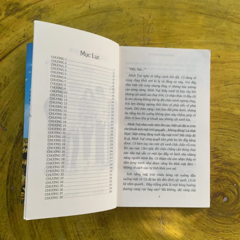 HƯỚNG DƯƠNG NGÀY HÈ - NẤM HƯƠNG 1003964