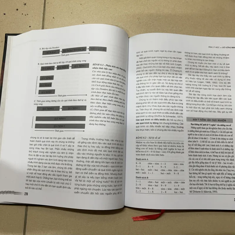 Tâm lý học & Đời sống - Richard J.Gerrig 1021054
