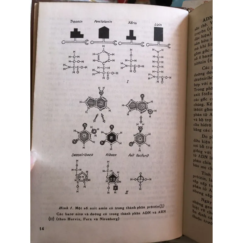 Di truyền học và cơ sở chọn giống - Đ.Ph.Petrop 1029111
