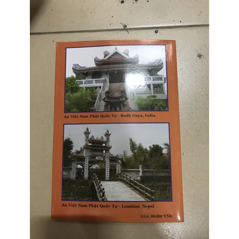 Khi Hồng Hạc Bay Về  1028965