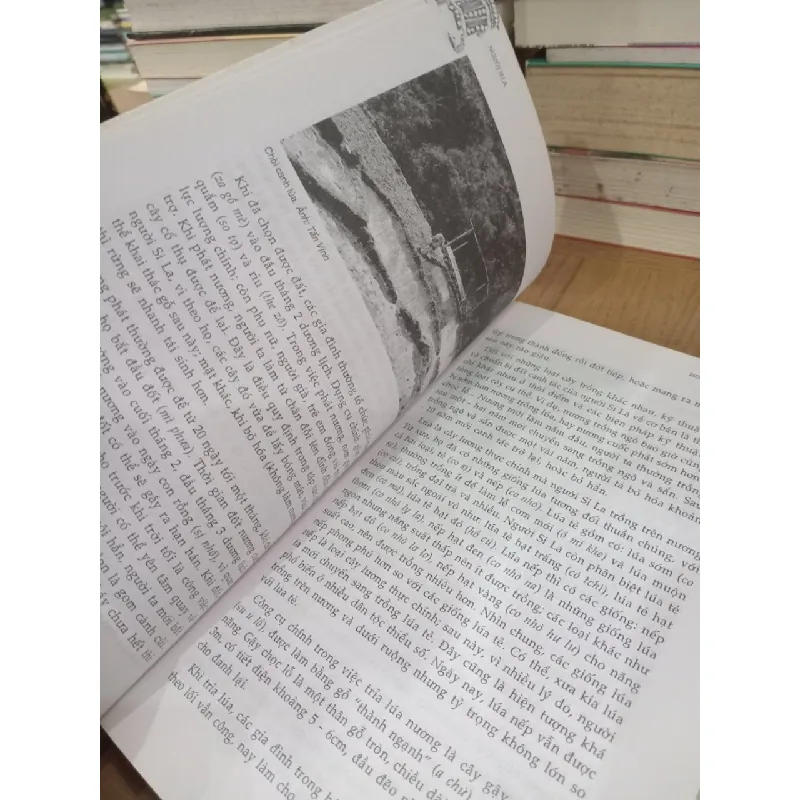 Người si la - Chu Thái Sơn chủ biên, TS. Mai Thanh Sơn 726492