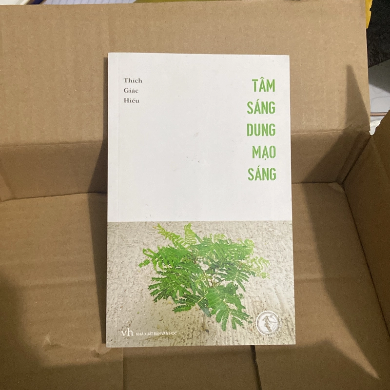Tâm sáng dung mạo sáng 546462