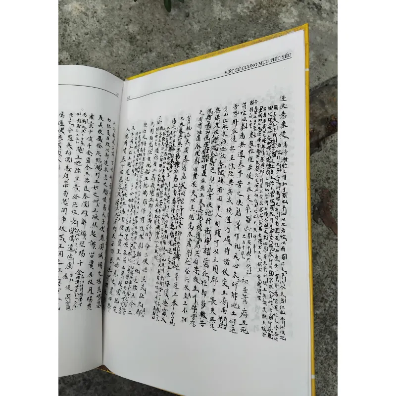 Việt sử cương mục tiết yếu của Đặng Xuân Bảng  1026057