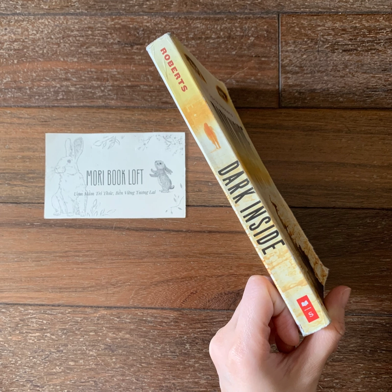 Sách ngoại văn Dark Inside – Jeyn Roberts, Used, trình độ B1-B2 498812
