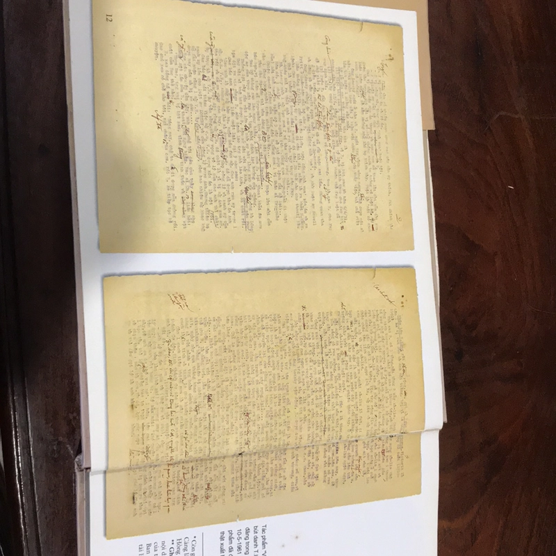 VỤ ÁN NGUYỄN ÁI QUỐC Ở HỒNG KÔNG (1931-1933) 505592