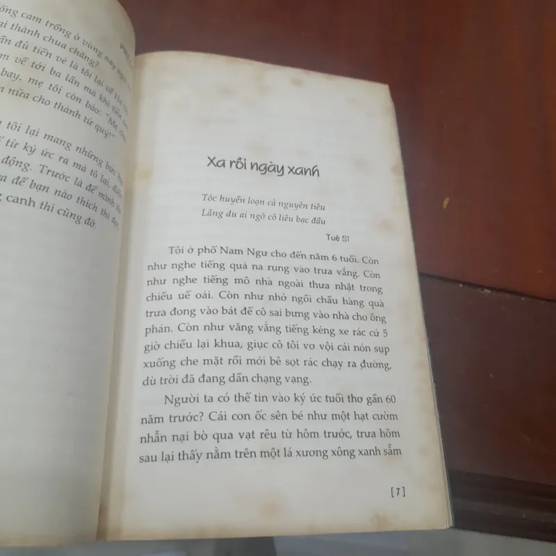 Tản văn Mai Lâm - XA RỒI NGÀY XANH (từ xa Hà Nội 2) 975565