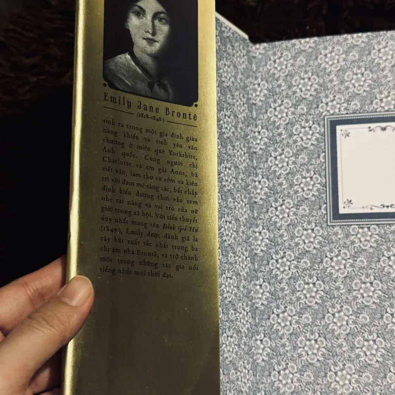 Đỉnh gió hú (bìa cứng) 763527