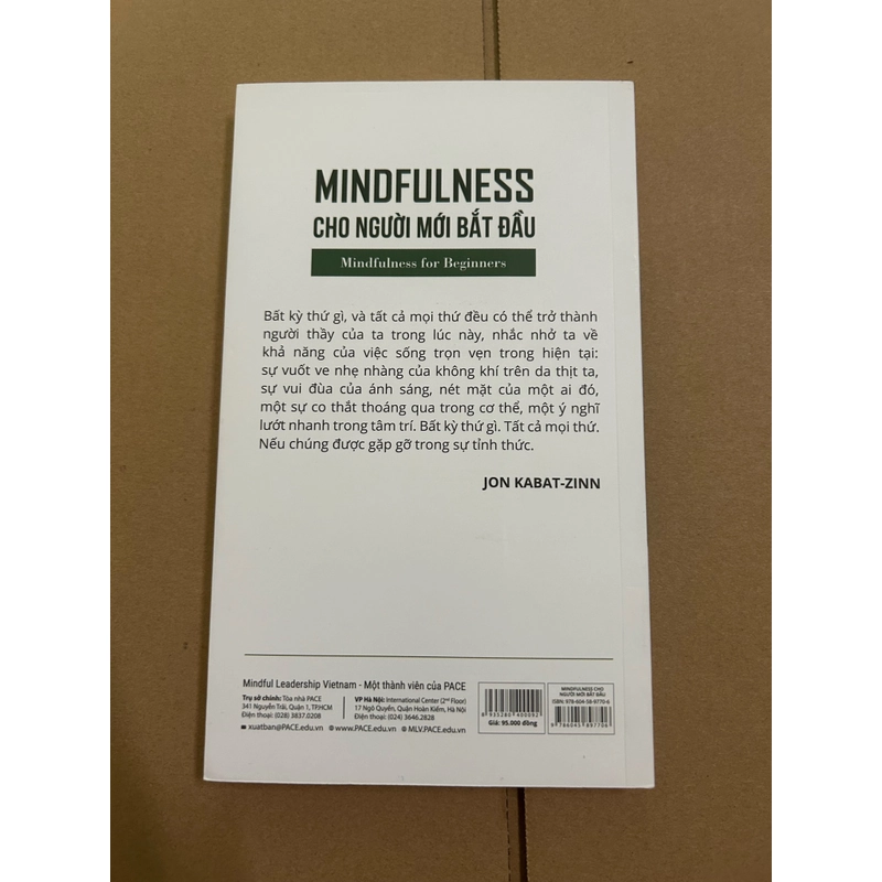 Mindfulness cho người mới bắt đầu 477697