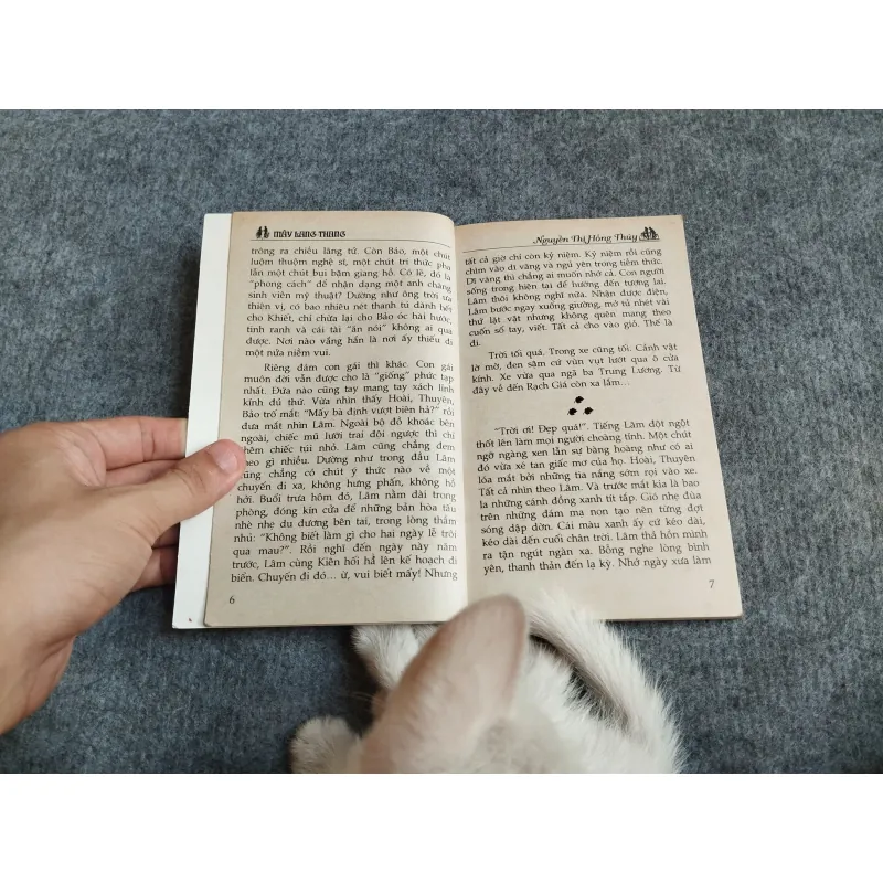 MÂY LANG THANG - NGUYỄN THỊ HỒNG THÚY 567783