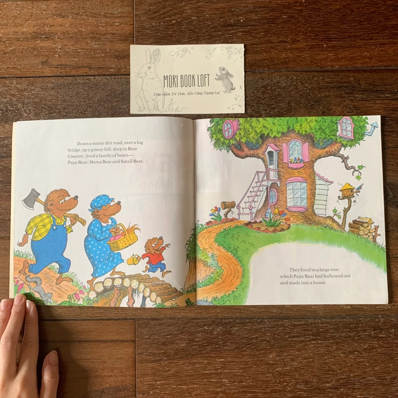 Sách ngoại văn The Berenstain Bears' New Baby, Used 498056