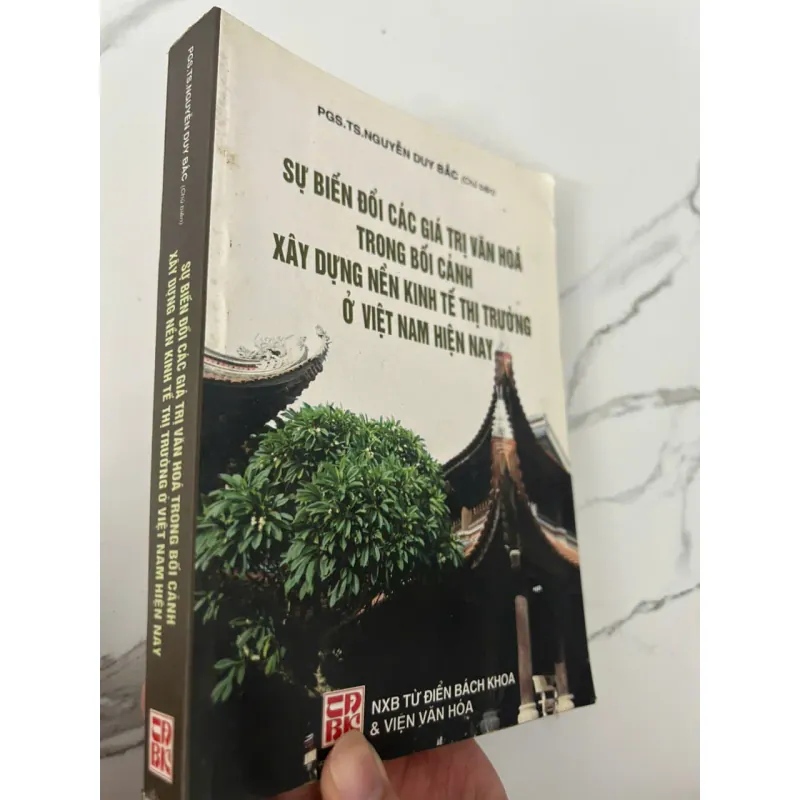 SỰ BIẾN ĐỔI CÁC GIÁ TRỊ VĂN HOÁ... XÂY DỰNG NỀN KINH TẾ THỊ TRƯỜNG Ở VIỆT NAM HIIỆN NAY 700302