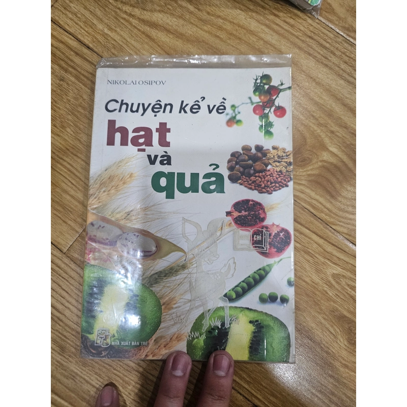 Chuyện kể về quả và hạt 451758