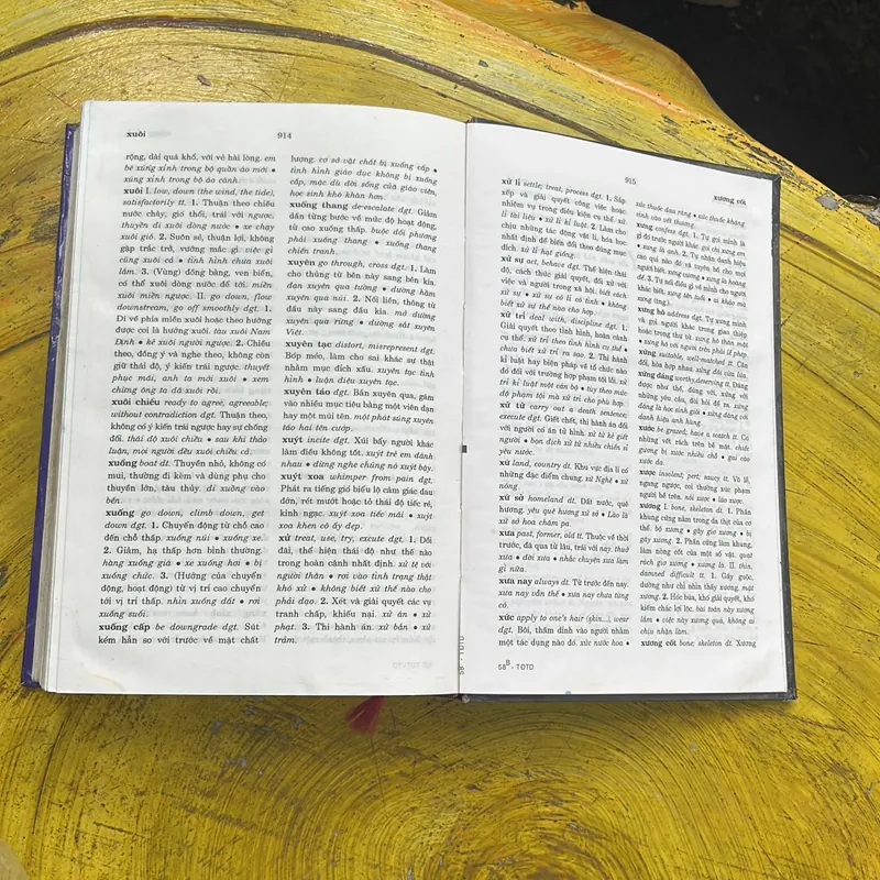 TỪ ĐIỂN TIẾNG VIỆT THÔNG DỤNG- NGUYỄN NHƯ Ý CHỦ BIÊN 697865