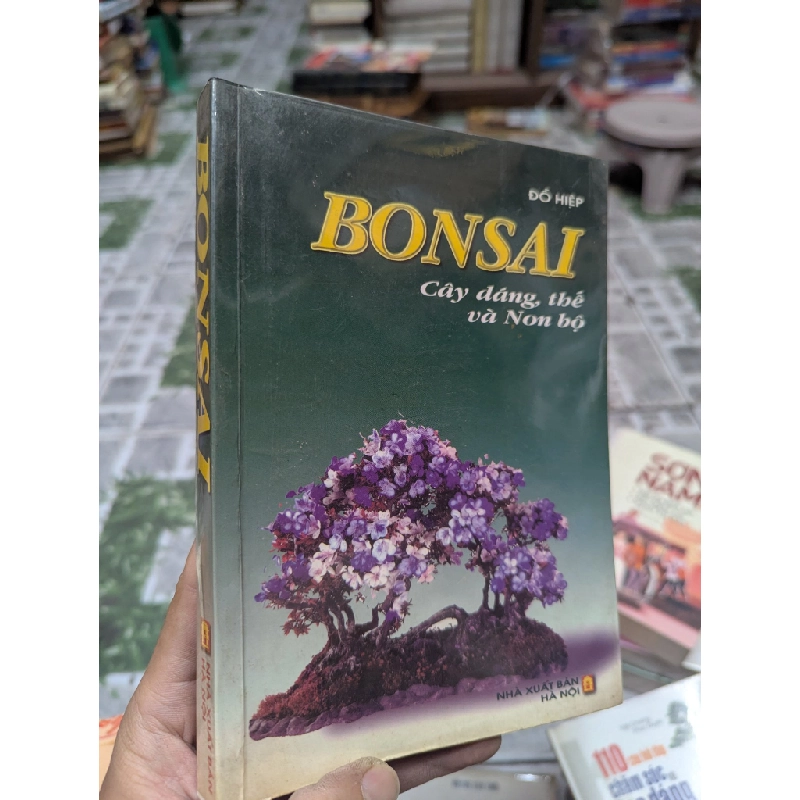 BONSAI CÂY DÁNG THẾ VÀ NON BỘ - ĐỖ HIỆP 300021