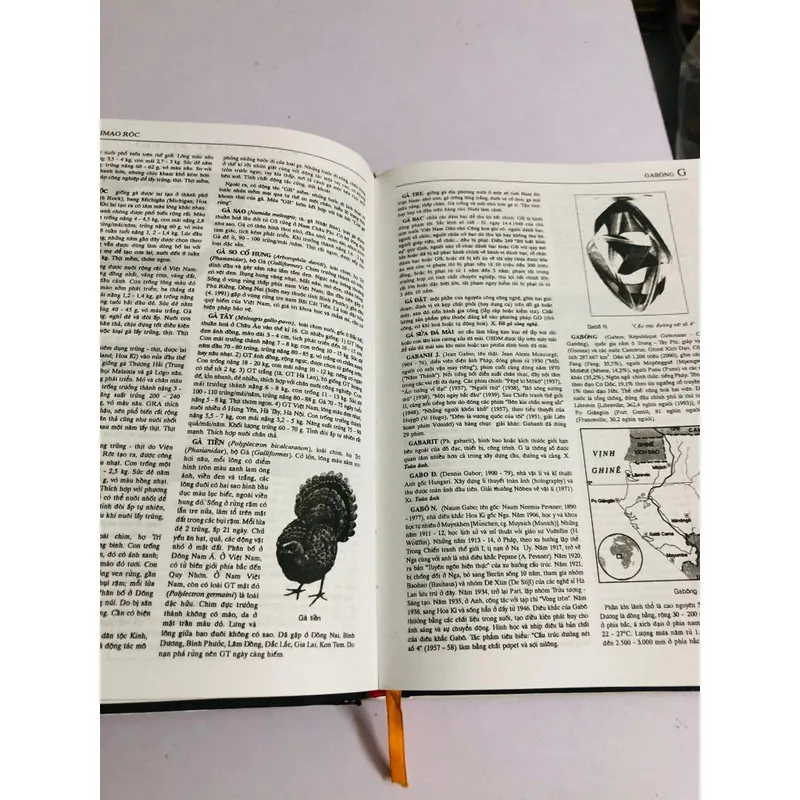 📚 TỪ ĐIỂN BÁCH KHOA VIỆT NAM – TẬP 2 601981