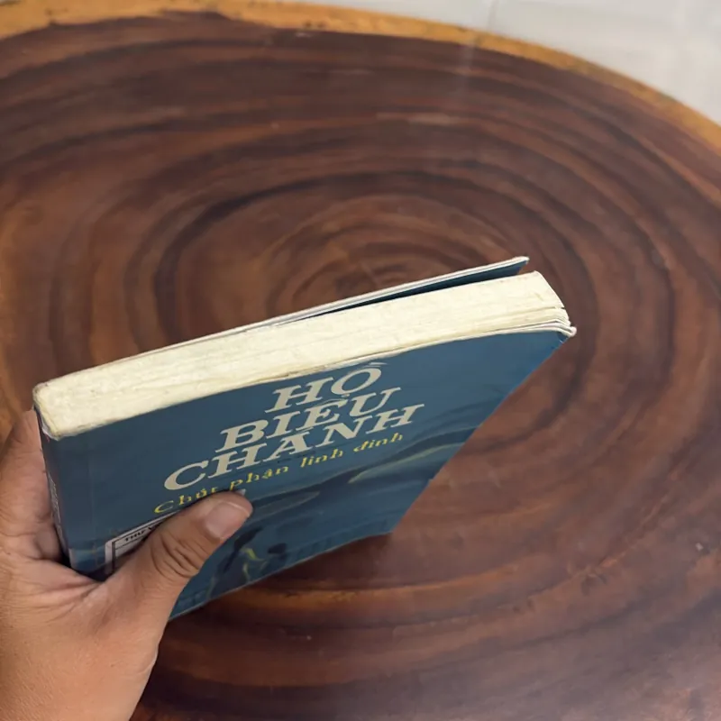 [Rách Góc Trang Cuối] - II Tiểu Thuyết: Chút Phận Linh Đinh - Hồ Biểu Chánh - 2018 1001915