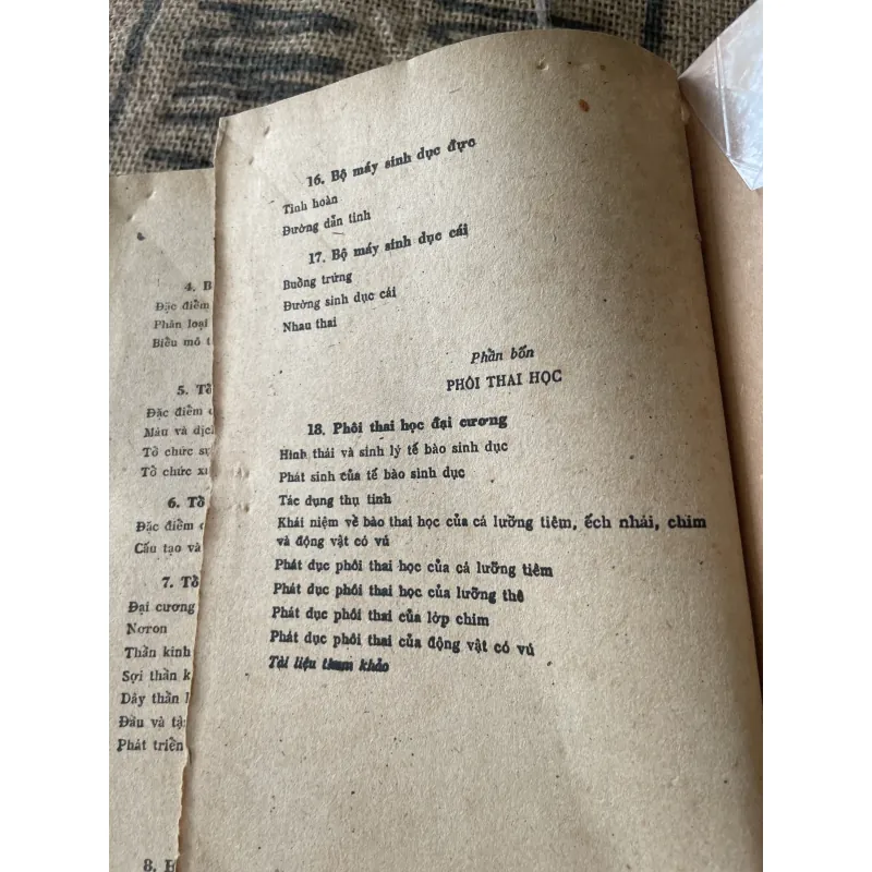 Tổ chức phôi thai học - sách y -650 trang  1020277