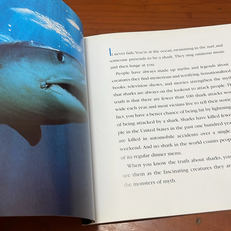 PICTURE BOOK Sharks 536435