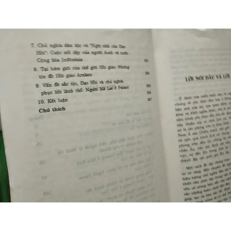 Lịch sử đông nam Á hiện đậi 926301