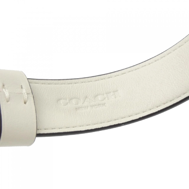 【Sản phẩm mới】Coach CH154 Màu sắc cho thú cưng 625807