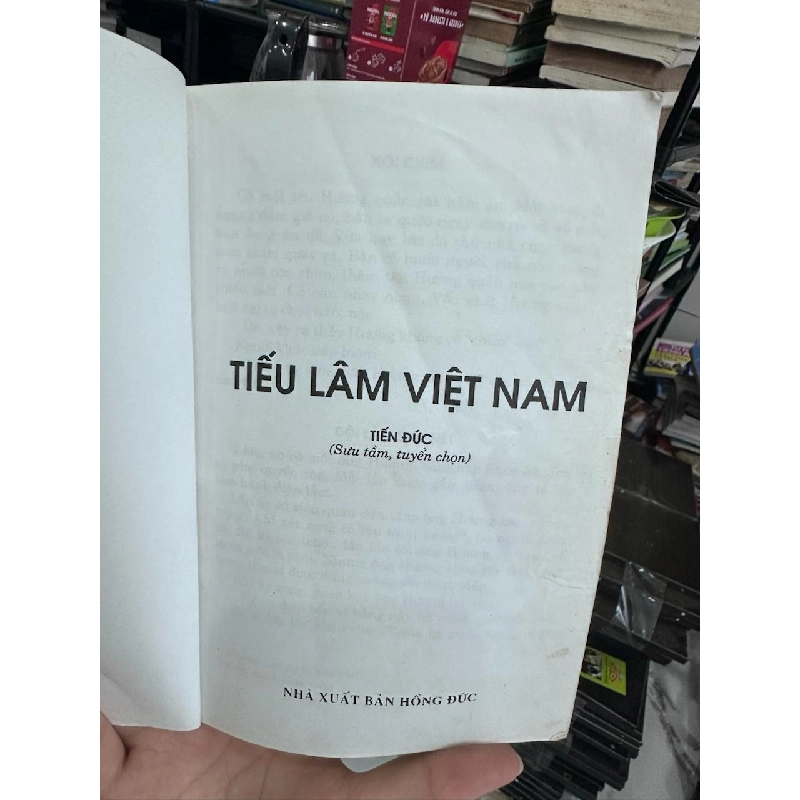 Tiểu Lầm Việt Nam - Tiến Đức (sưu tầm, tuyển chọn) 934426