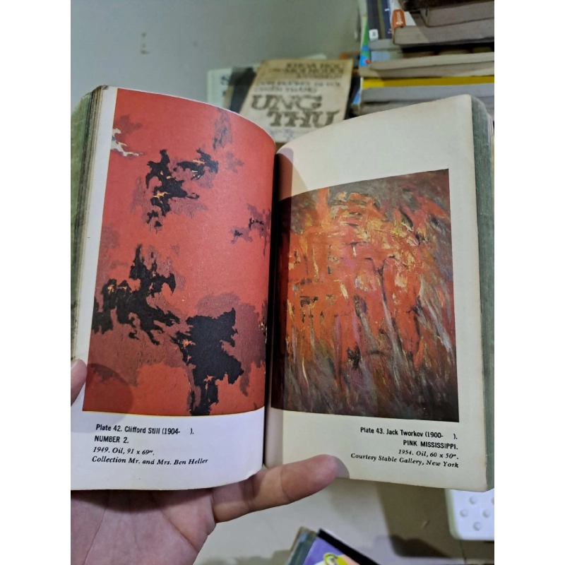 Modern American Painting and Sculpture by Sam Hunter mới 70% ố rách bìa 1962 ENGLISH BOOKS HCM2908 922534