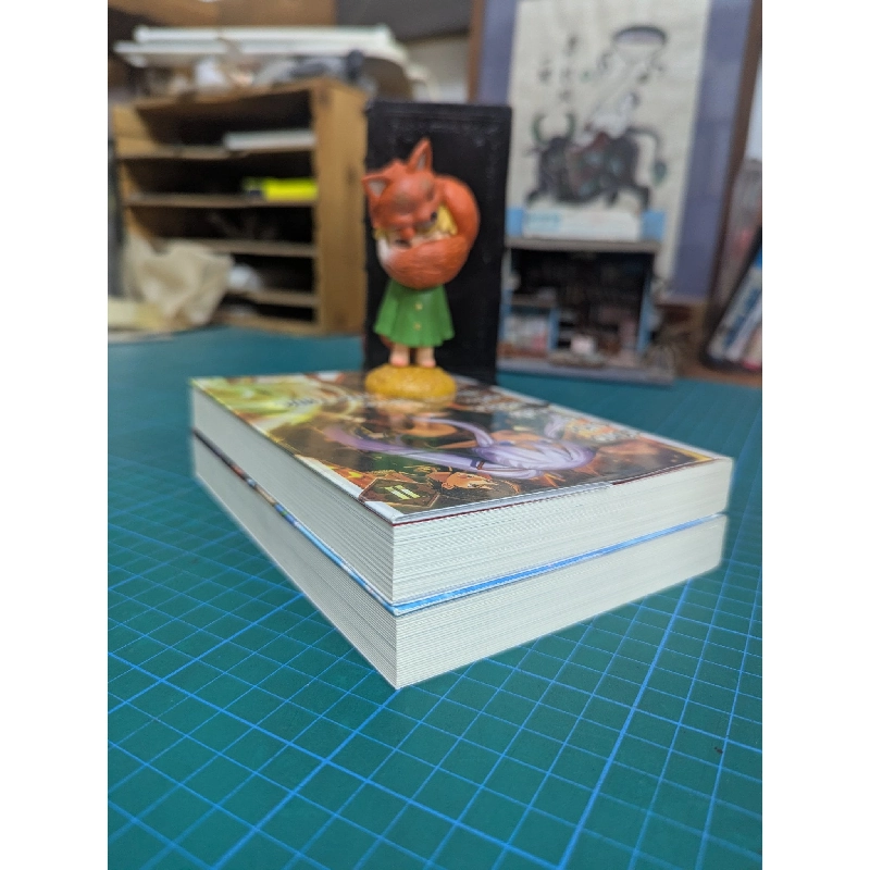 Light novel công cuộc tái thiết vương quốc của anh hùng chủ nghĩa hiện thực - Dojyomaru 740071