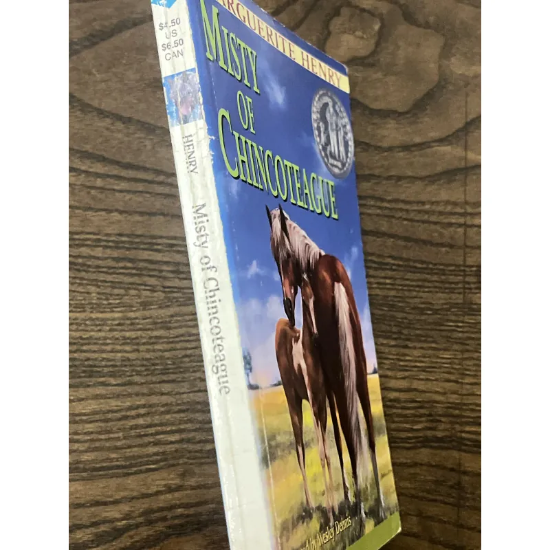 Misty of Chincoteague 972859