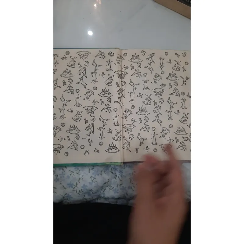 The bobbsey twins and the big rivers mystery 930936