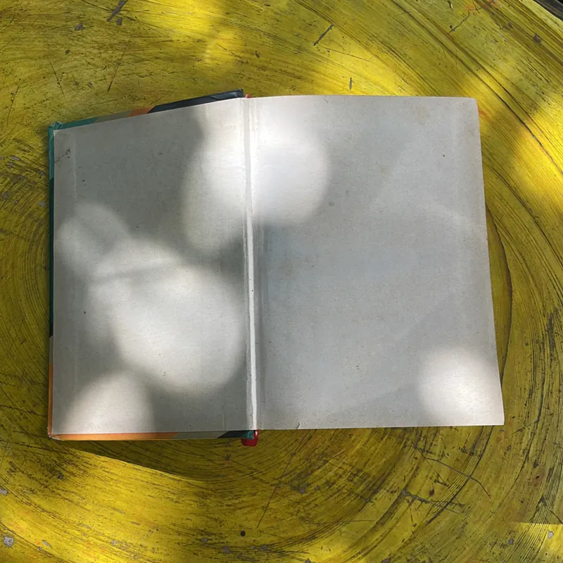 THUẬT NGỮ TIN HỌC ANH - VIỆT ENGLISH- VIETNAMESE DICTIONARY OF COMPUTER TERMS- LÊ MINH TRÍ 702041