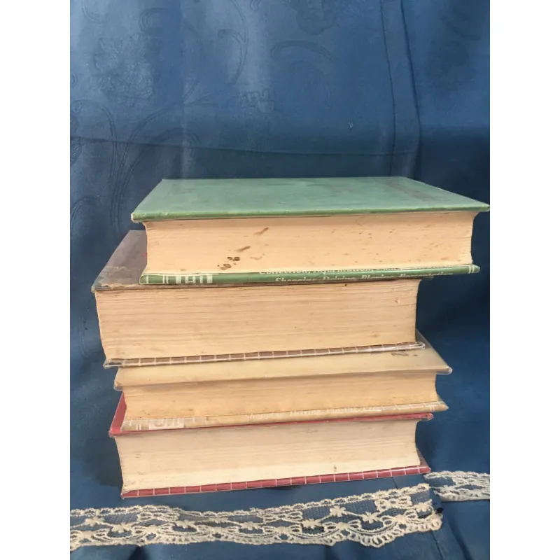 anh em nhà Karamazov, tội ác và hình phạt, chàng ngốc, lũ người quỷ ám 788249