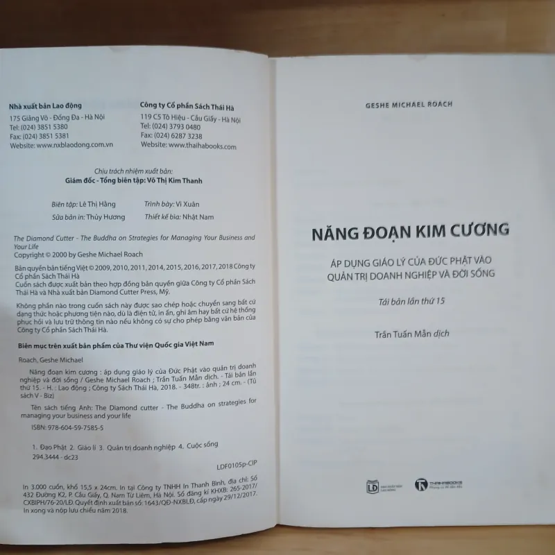 Năng Đoạn Kim Cương - Geshe Michael Roach 975008