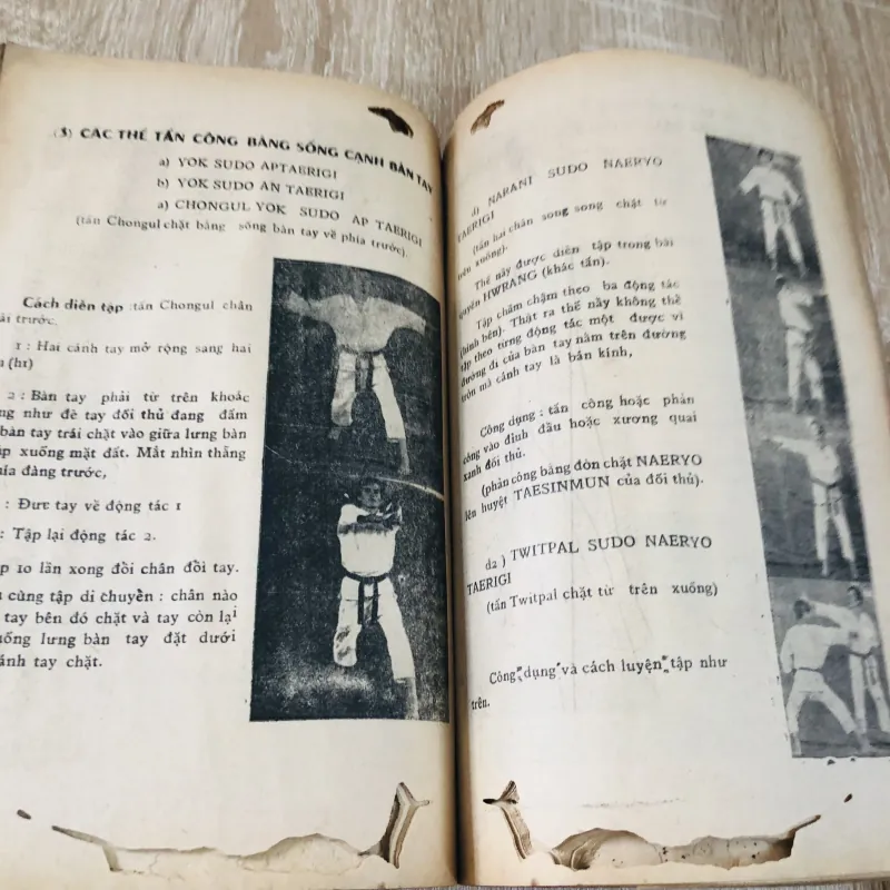 KỸ THUẬT THÁI CỰC ĐẠO – 1968 1043928