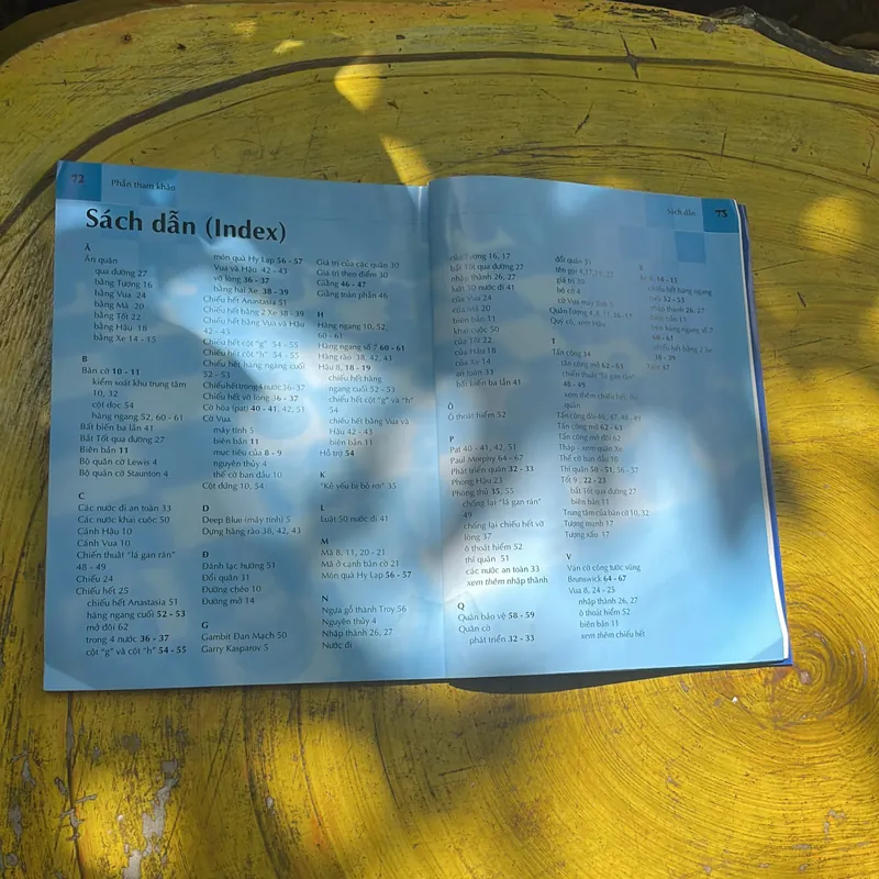 COMBO CỜ VUA HÃY CHƠI ĐỂ CHIẾN THẮNG- CỜ VUA NGHỆ THUẬT TRUNG CUỘC 707502