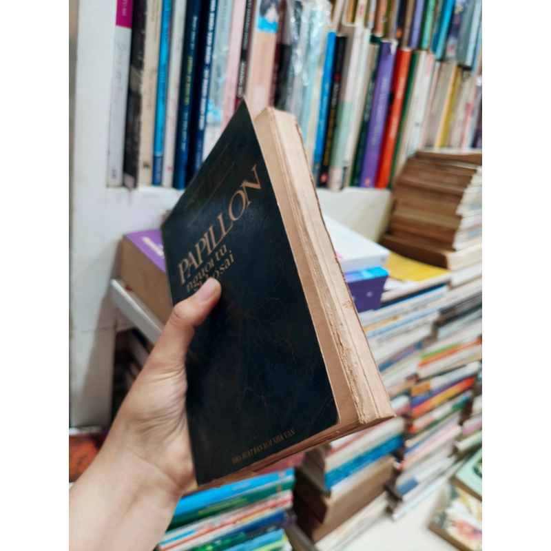 Papillon người tù khổ sai 🌱 537594