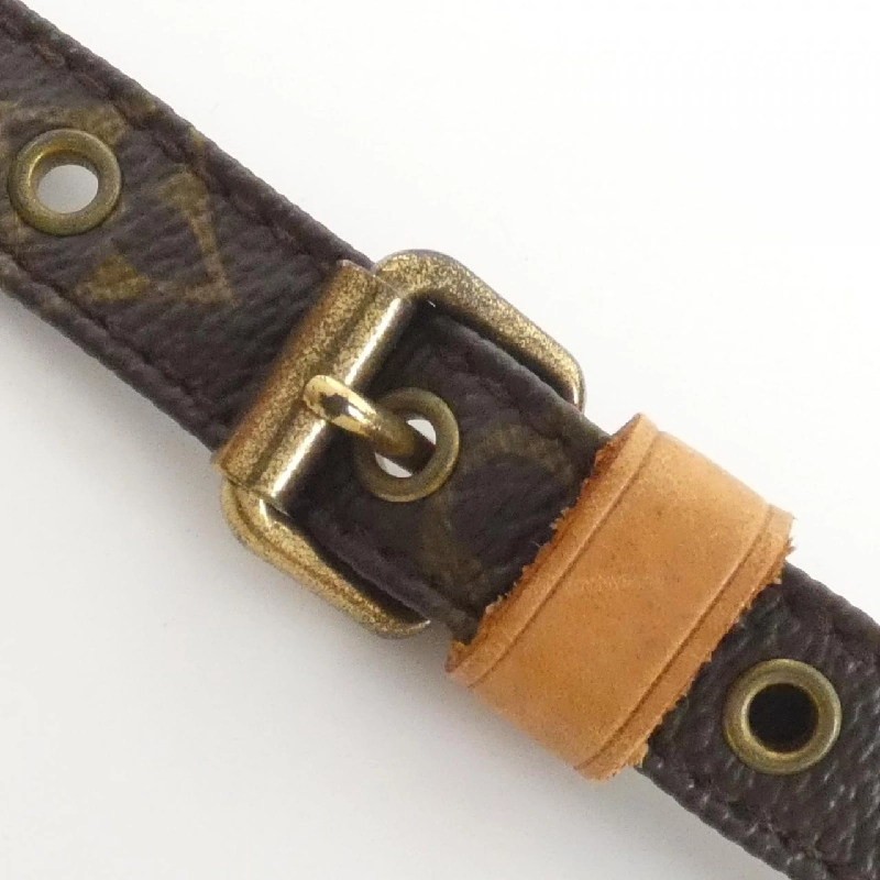 Túi đeo vai Louis Vuitton Monogram Amazon M45236 609798