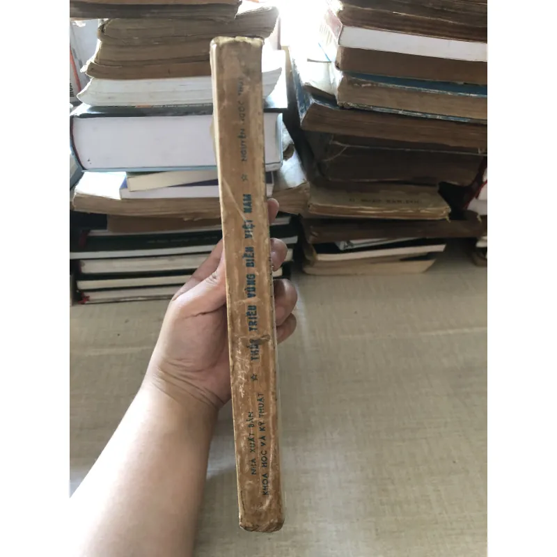 Thủy triều vùng biển Việt Nam 972150