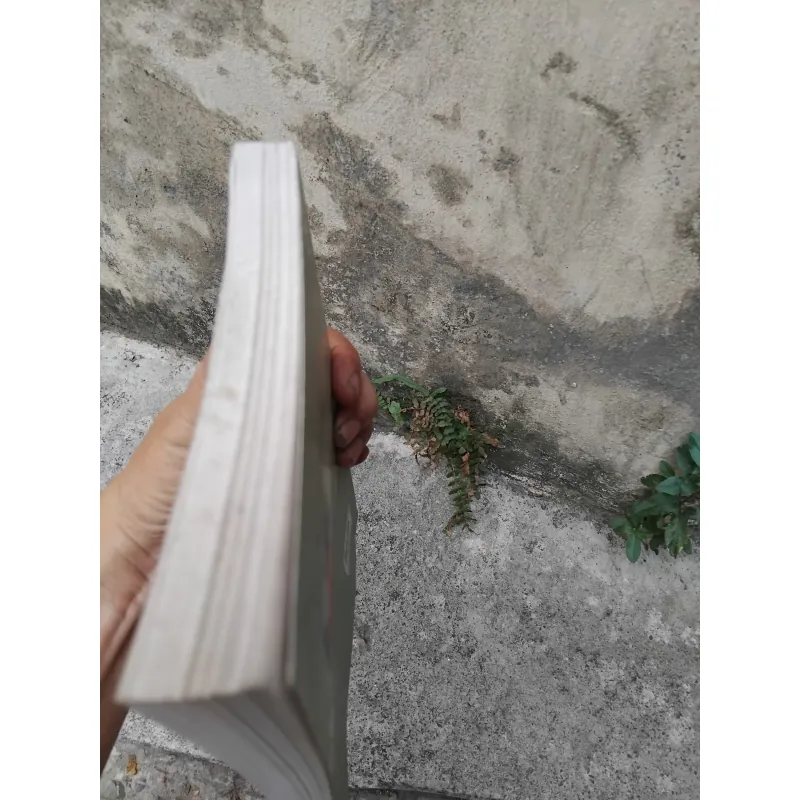 Từ kí hiệu đến biểu tượng do Trịnh Bá Đĩnh chủ biên  1006750