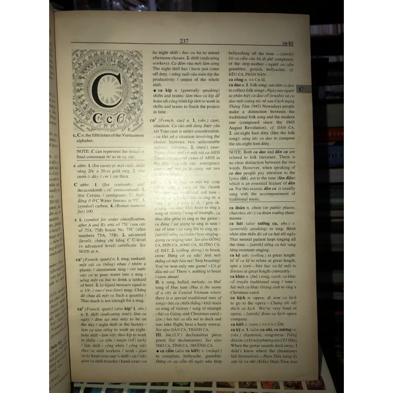 Từ điển Việt - Anh 756051