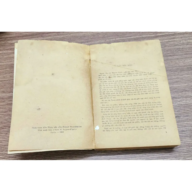 Tiểu thuyết NGƯỜI MẸ (Maxim Gorky) 782276