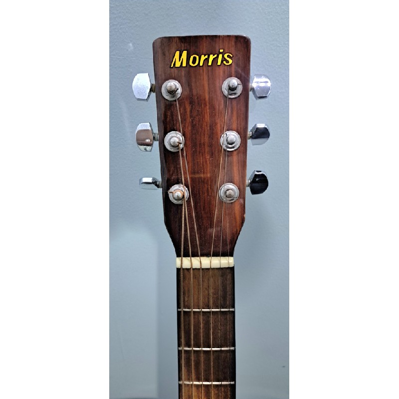 Guitar Acotic Morriss MD 508 24022