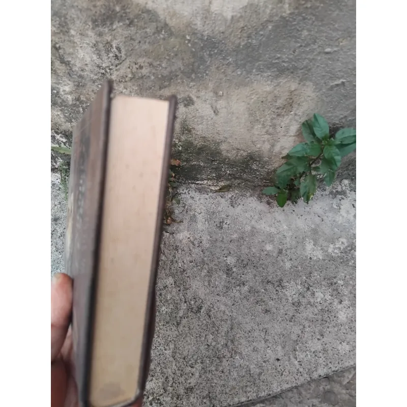Phu nhân Makbet ở quận Misenski tập truyện của Nikolai Leskov 1003421