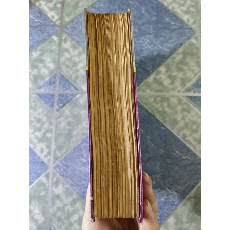 Việt Nam thi văn giảng luận - Hà Như Chi 756043