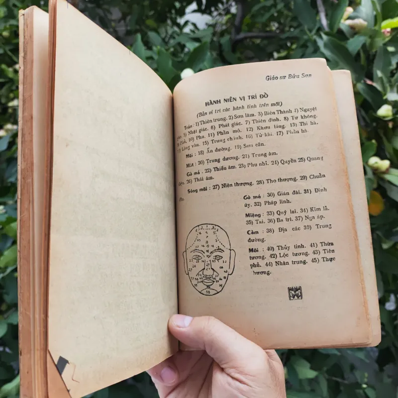 Bí Thuật Xem Tướng Lấy Vợ Chồng + Sách Huyền Bí ( Giáo Sư Bửu Sơn) - SÁCH IN LẠI 779353