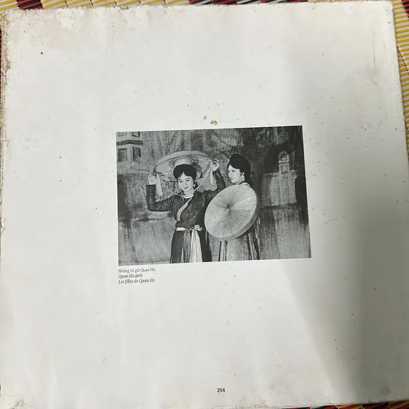 Đào hoa nữ Việt Nam quê hương tôi 726936