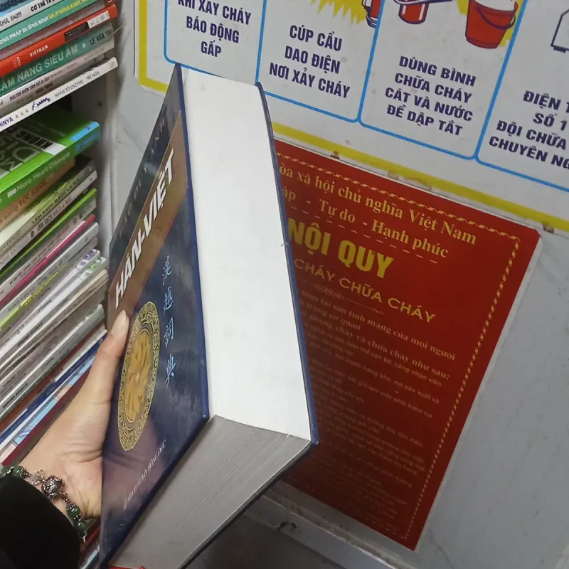 Từ Điển Hán - Việt - Đào Duy Anh  956985